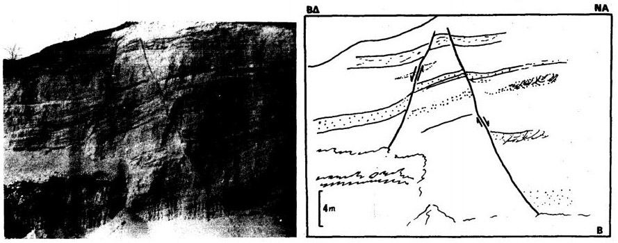 GRCS077F08 - Photo and sketch of syn-sedimentary normal faults near Proastio
