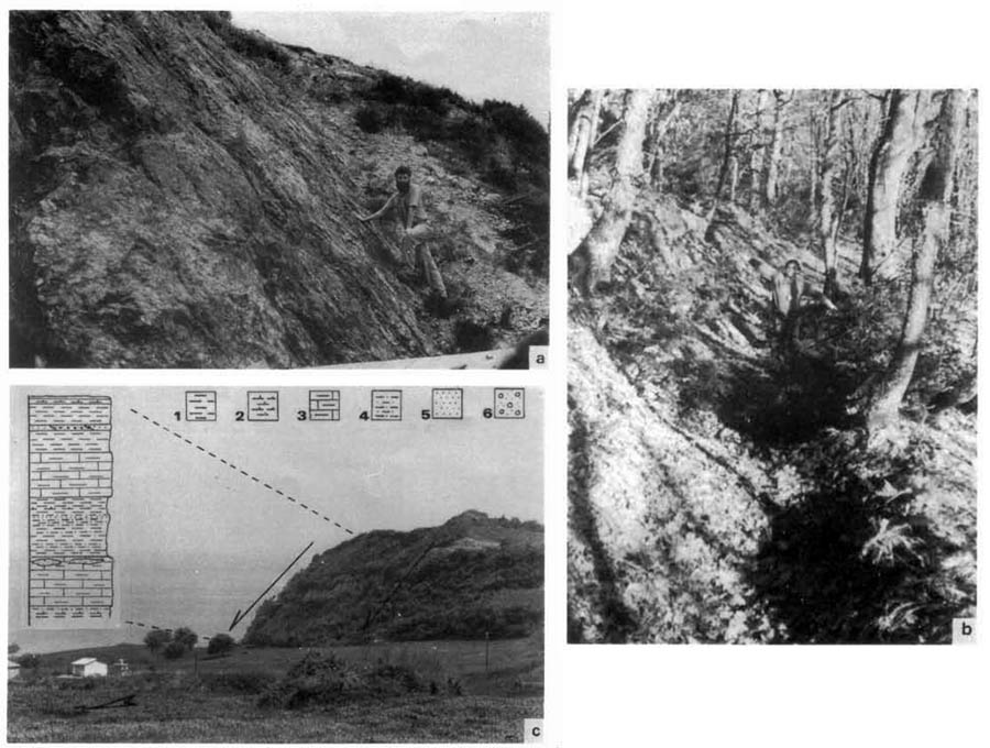 GRCS110F08 - Photographs of the fault's freeface and scarp