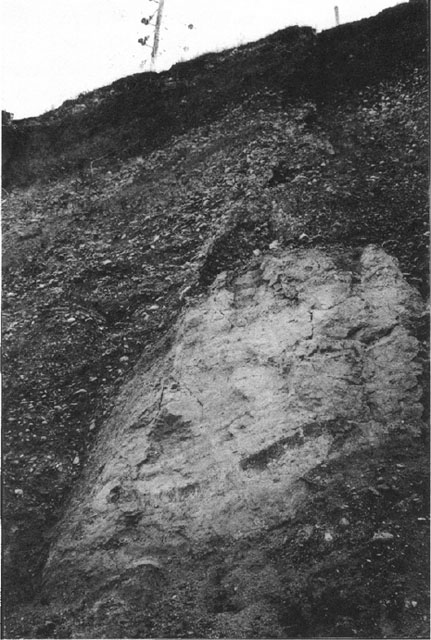 GRIS051F14 - Photograph of recent fault scarps