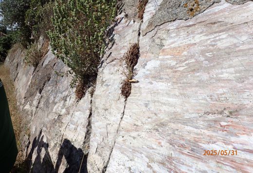 Kalloni Fault, Aghia Paraskevi, Lesvos